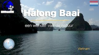 Halong Baai • Vietnam 